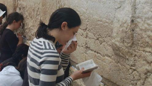 娱乐吃瓜君网红对比图